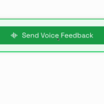 Voice Feedback